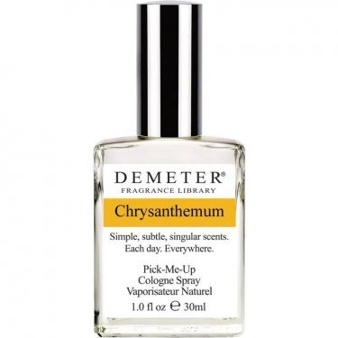 Chrysanthemum (Cologne)