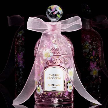 Cherry Blossom 2025 Millésime by Taein Song