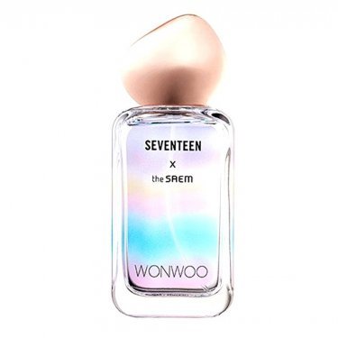 Seventeen X Wonwoo