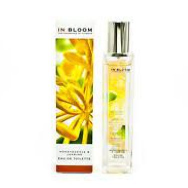 Jasmine and Honeysuckle