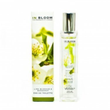 Lime Blossom and Bergamot
