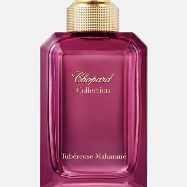 Tubéreuse Maharané