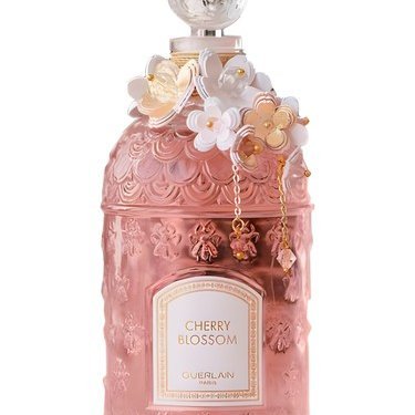 Cherry Blossom 2021 Millésime par Lucie Touré