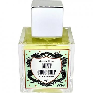 Mint Choc Chip Ice Cream