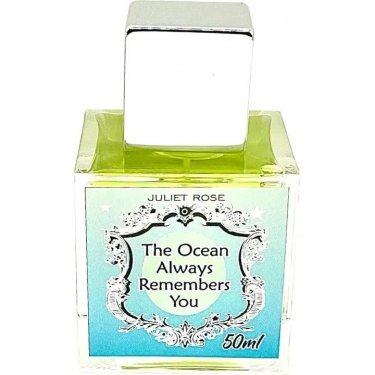 The Ocean Always Remembers You