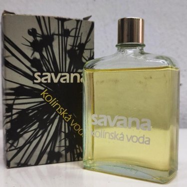 Savana (kolínská)