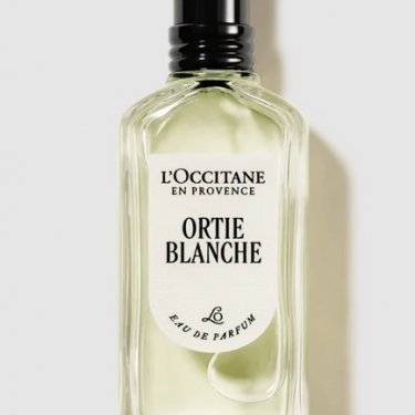 Ortie Blanche