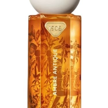 Ambre Antique (2025)