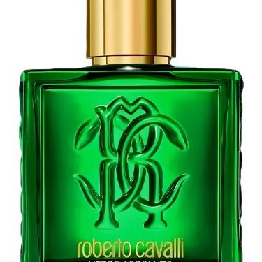 Roberto Cavalli Uomo Verde Assoluto