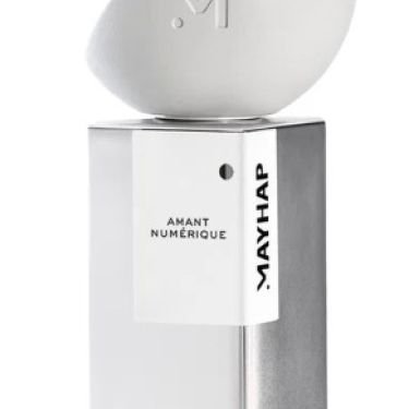 Amant Numérique