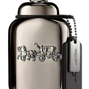 Coach Pure Platinum