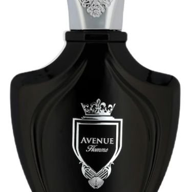 Avenue Homme
