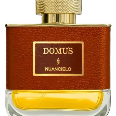 Domus