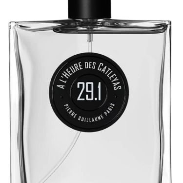 29.1 À l’heure des Catleyas