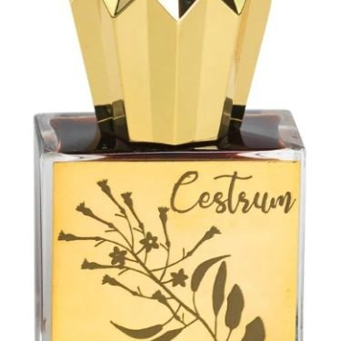 Cestrum Nocturnum
