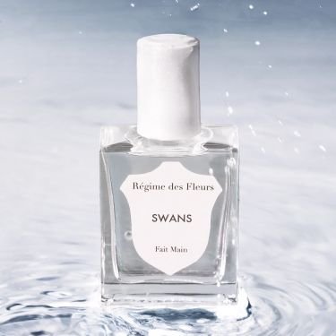 Swans