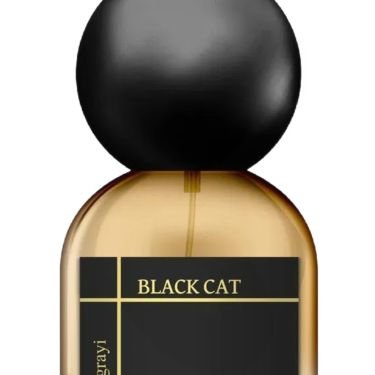 Black Cat