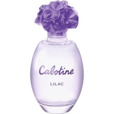 Cabotine Lilac