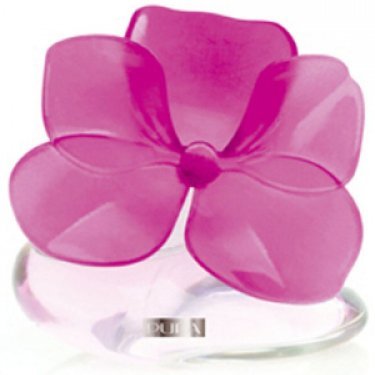 Very Flower Orchidea