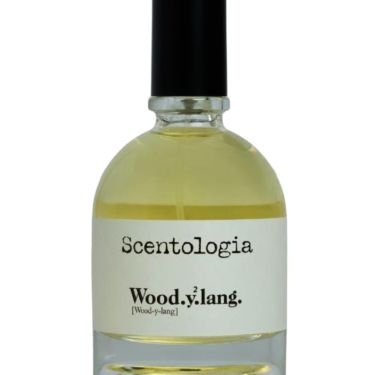 Wood.y2.lang