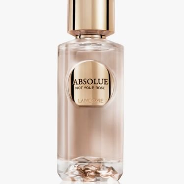 Absolue Not Your Rose