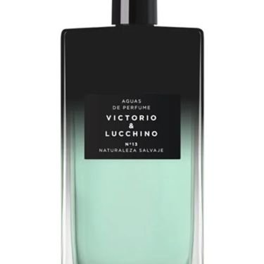 Aguas Masculinas: N°13 Naturaleza Salvaje