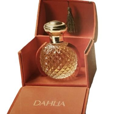 Dahlia