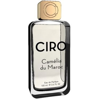 Camélia du Maroc (2025)