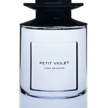 Petit Violet