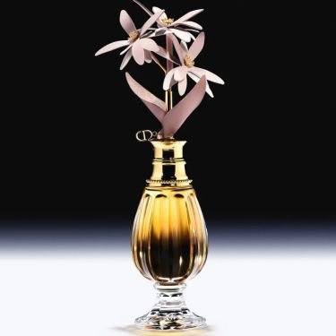Les Récoltes Majeures Le Jasmin 2026