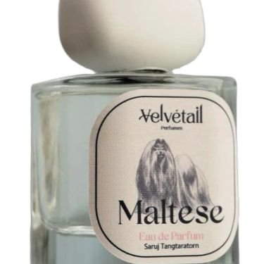 Maltese