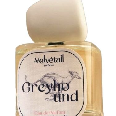 Greyhound