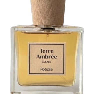 Terre Ambrée