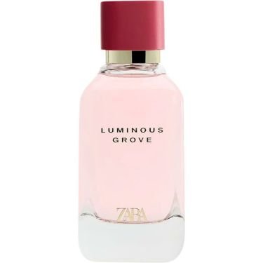 Luminous Grove