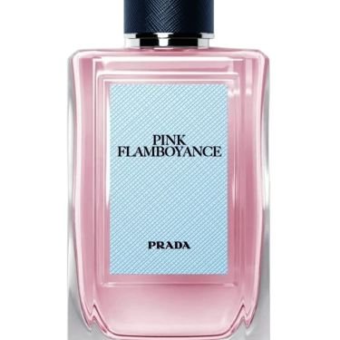 Pink Flamboyance