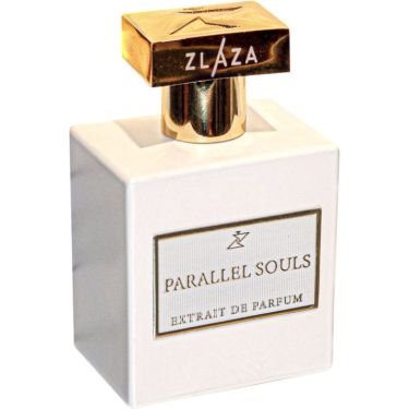 Parallel Souls