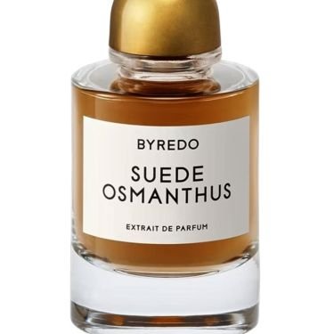Suede Osmanthus