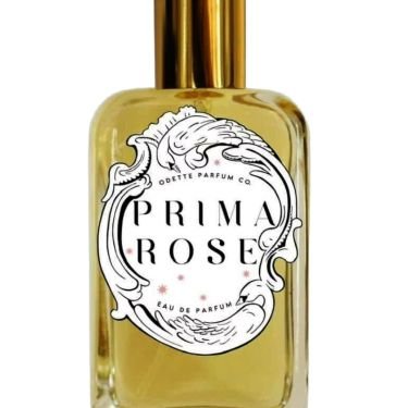 Prima Rose