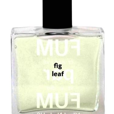 Fig Leaf
