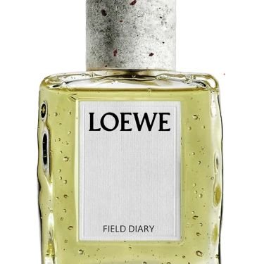 Field Diary