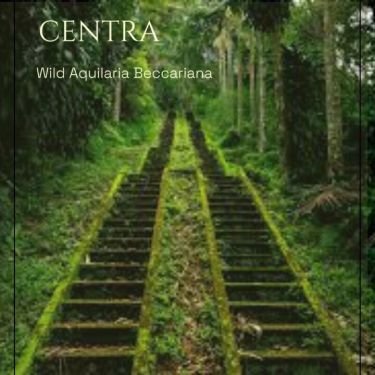 Centra