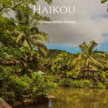 Haikou