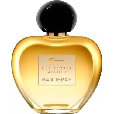 Her Secret Absolu
