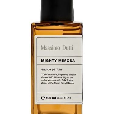 Mighty Mimosa