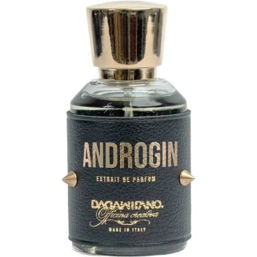 Androgin