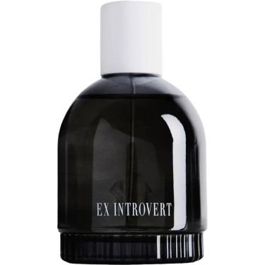 Ex Introvert