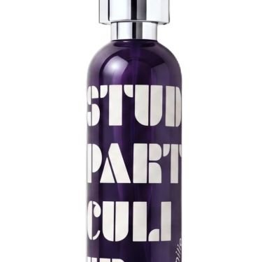 Studio Particulier