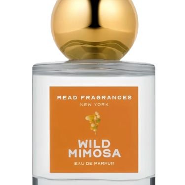 Wild Mimosa