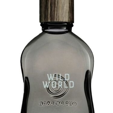Wild World