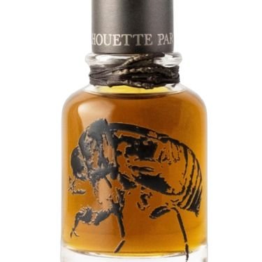 Falj Fel X 7Scents